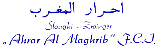 Ahrar Al Maghrib